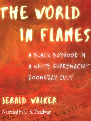 cover image of The World in Flames